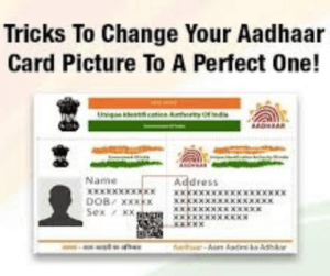 Andhra (13)