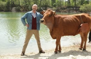 cow