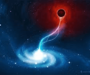 Untitled design (12)