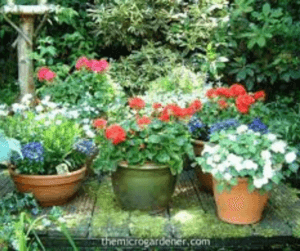 Untitled design - 2019-06-03T154051.703