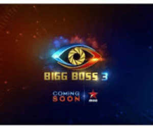big boss 3