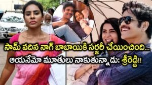 Sri Reddy made controversial comments on Nagarjuna and Samantha