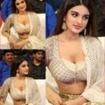 Nidhi Agerwal Latest Photos