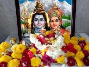 flowersshiva-1524482885-1582025740