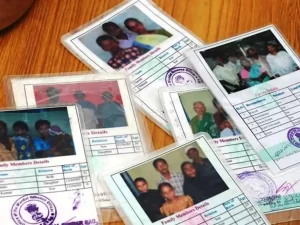 a group of id cards