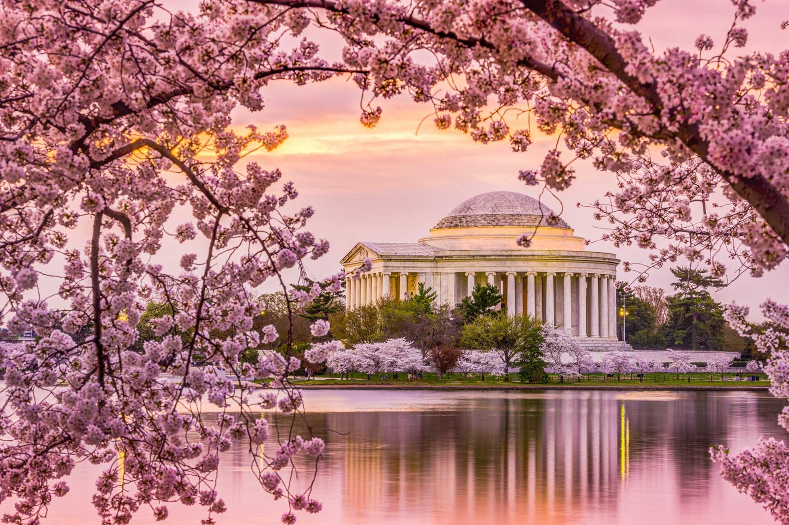 05-photo-workshop-adventures-united-states-washington-dc-cherry-blossoms