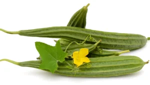 ridge-gourd-benefit