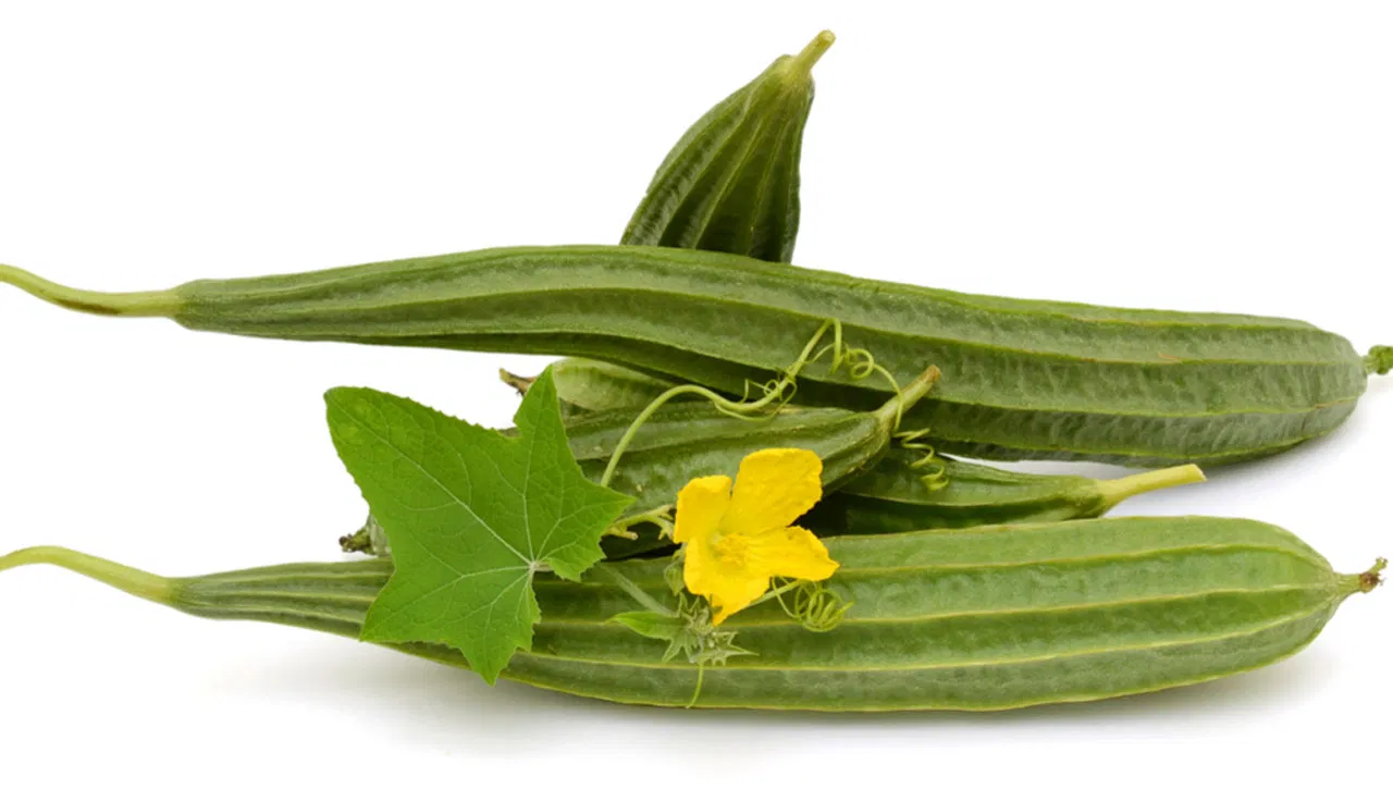 ridge-gourd-benefit