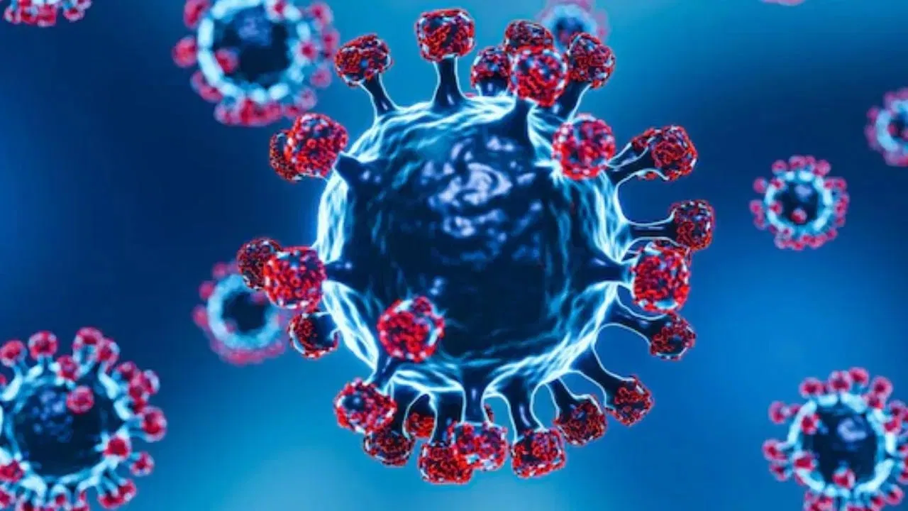 coronavirus