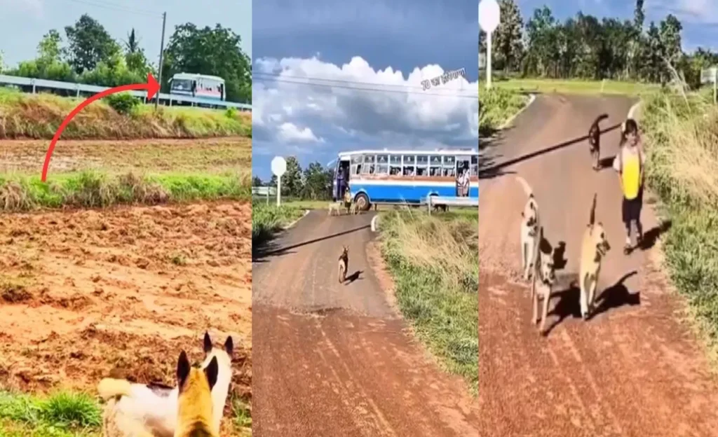 dog-and-girl-video-viral