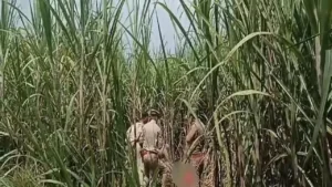 5-year-old-girl-dead-found
