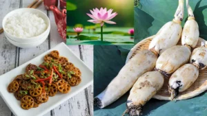 lotus-roots1