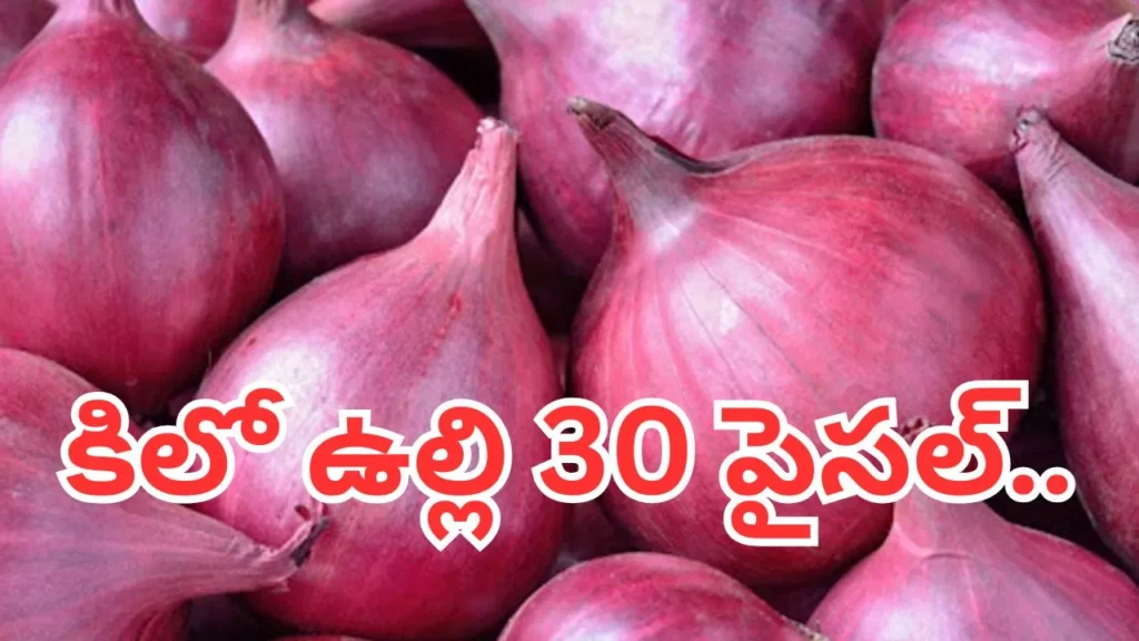onion-prices-1