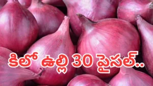 onion-prices-1