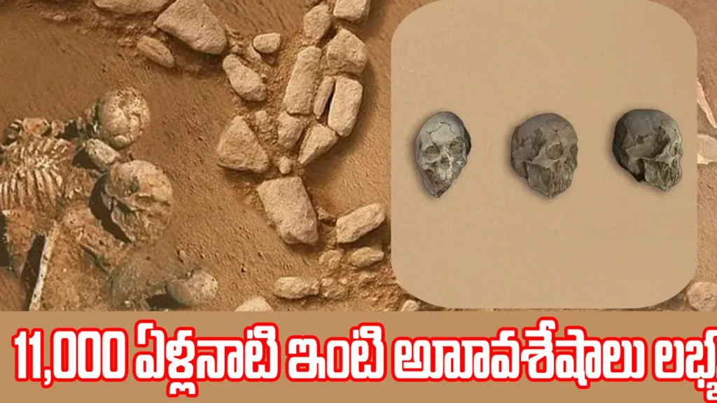 tabuk-pre-pottery-neolithic-era