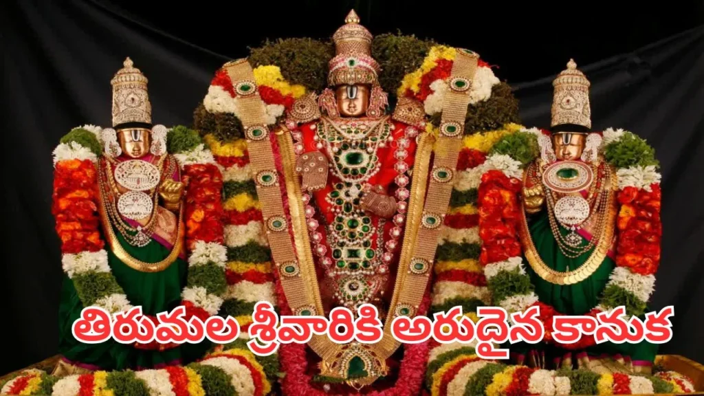 Tirumala: తిరుమల శ్రీవారికి అరుదైన కానుక.. విలువ ఎంతో తెలుసా? 1 tirumala-tirupati
