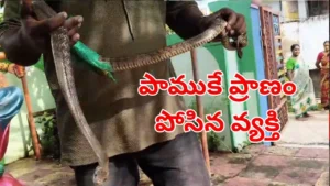 andhra-news-8