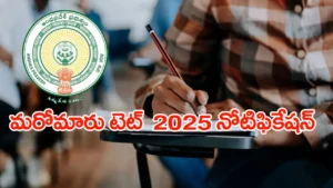 andhra-pradesh-tet-2025-notification