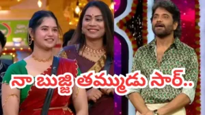 bigg-boss-9-telugu-10-1