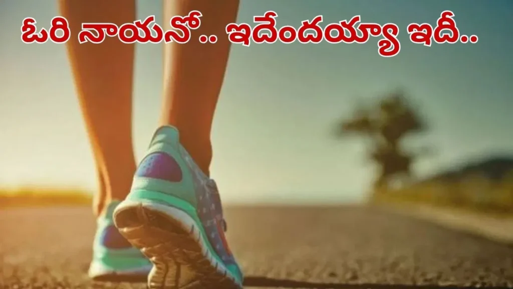 how-much-walk-to-burn-food