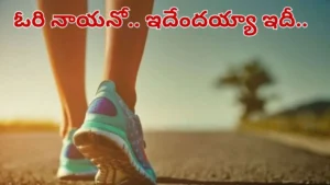 how-much-walk-to-burn-food