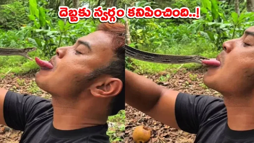 man-play-with-a-snake