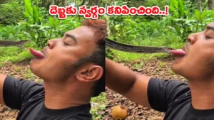 man-play-with-a-snake