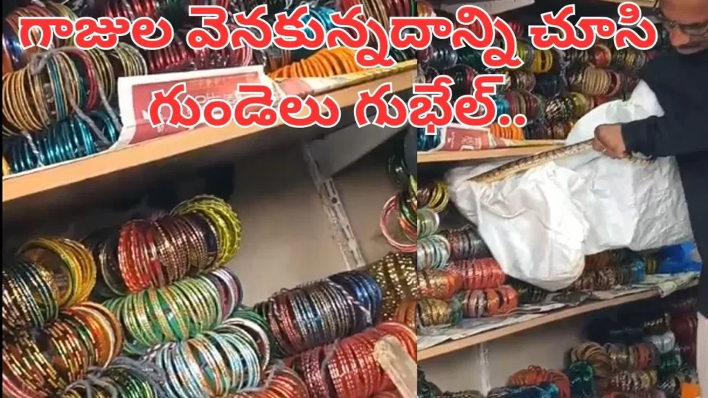 snake-found-in-bangles-store-at-tiruvuru