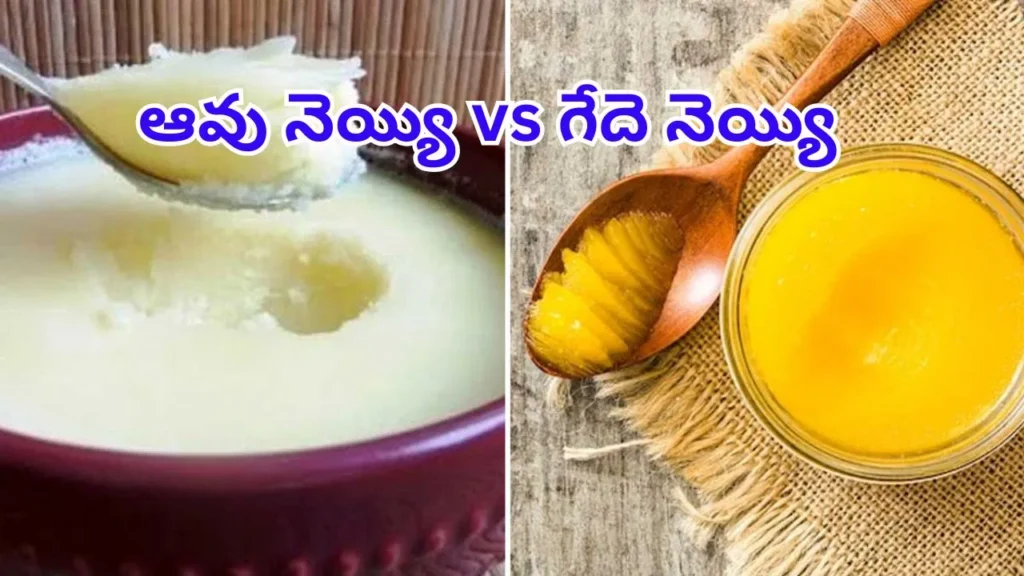 cow-ghee-vs-buffalo-ghee