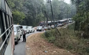 Medaram-Jatara.jpg