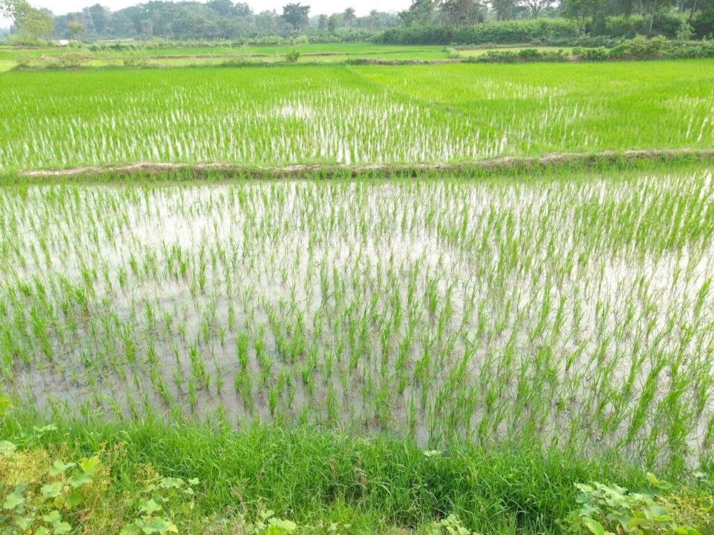 NcHuhTcSYft8TtyxZjTquA-4gndtysKA0cGoQFC28Eqt0T-zZdJ6etJ-K7JHeo0evlofqLU7acU9U51oxnBWnM6D2ZpCDbLf34rTE7j_QSY