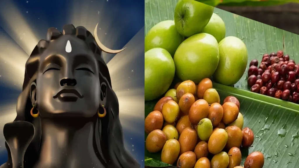 benefits-of-ber-fruits