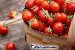 ChatGPT Image Mar 10, 2026, 11_38_02 AM