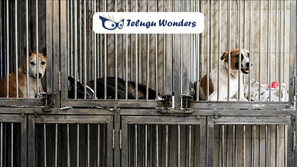 34bfce3c-2cb5-41a5-8231-52f1ebb42359