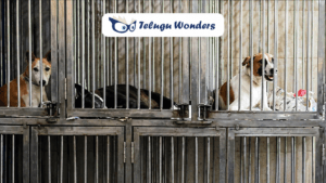 34bfce3c-2cb5-41a5-8231-52f1ebb42359