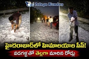 57106242-c32b-4b7b-9f73-47ab59f730ad-md