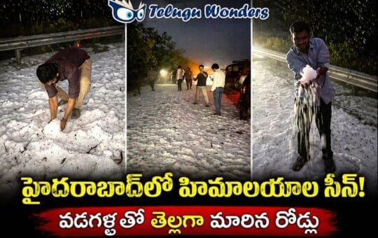 57106242-c32b-4b7b-9f73-47ab59f730ad-md