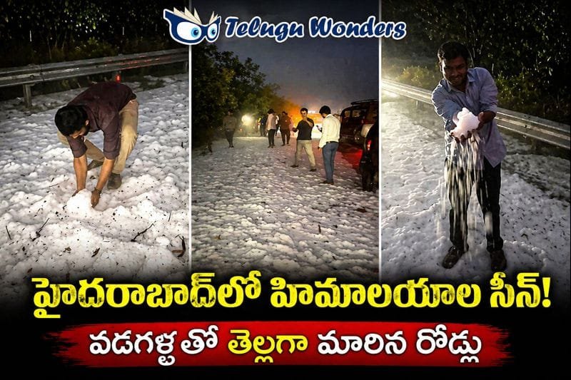 57106242-c32b-4b7b-9f73-47ab59f730ad-md