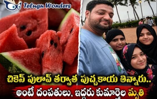 582e5c8f-9505-4f02-a416-1016eac51ac7-md