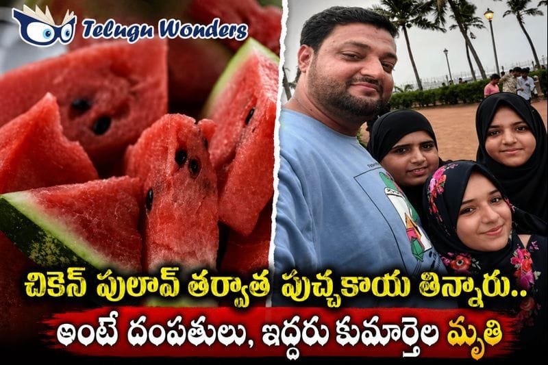 582e5c8f-9505-4f02-a416-1016eac51ac7-md