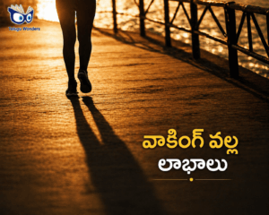 5f6ee452-36ba-40af-8b71-8438119295b6