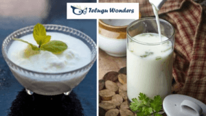 curd_buttermilk_logo_top