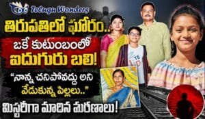 f435bedc-18cc-45c1-8a42-43f00767062f-md