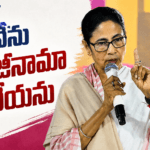 నేను ఓడిపోలేదు…సీఎం పదవికి రాజీనామా చేయను: మమతా బెనర్జీ
