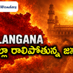 తెలంగాణలో వడదెబ్బ విలయం.. ఒక్కరోజే 51 మంది మృతి!