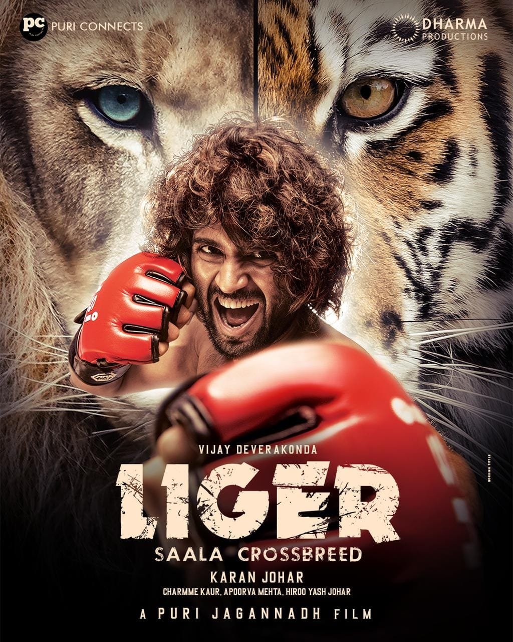 ‘లైగర్’ కోసం శరీరాన్ని అంతలా కష్టపెట్టా.. విజయ్ దేవరకొండ చెప్పిన షాకింగ్ అనుభవం 1 విజయ్ దేవరకొండ లైగర్