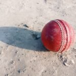World Cup Pace: బుమ్రా-భువీ జోడిపై అశ్విన్ అంచనా