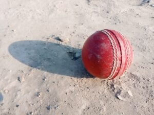 World Cup cricket
