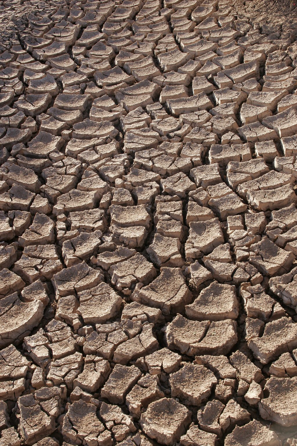 Telangana Drought: 18 జిల్లాల్లో 320 మండలాలపై అంచనా 1 Telangana drought