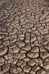 Telangana drought
